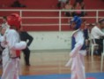 /album/galeria-de-fotos-campeonato-de-taekwondo/dsc03360-711x533-jpg/