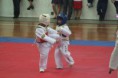 /album/galeria-de-fotos-campeonato-de-taekwondo/img-1142-800x533-jpg/