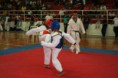 /album/galeria-de-fotos-campeonato-de-taekwondo/img-1152-800x533-jpg/