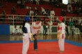 /album/galeria-de-fotos-campeonato-de-taekwondo/img-1157-800x533-jpg/