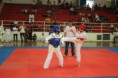 /album/galeria-de-fotos-campeonato-de-taekwondo/img-1161-800x533-jpg/