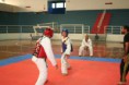 /album/galeria-de-fotos-campeonato-de-taekwondo/img-1181-800x533-jpg/